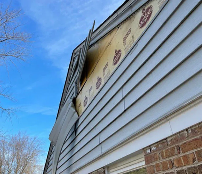 Disaster Solution - Illinois Restoration Services Picture 4