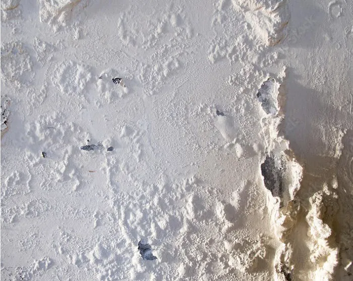 Disaster Solution - Illinois Restoration Services Picture 3