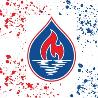 Disaster Solution - Illinois Restoration Services Picture 7