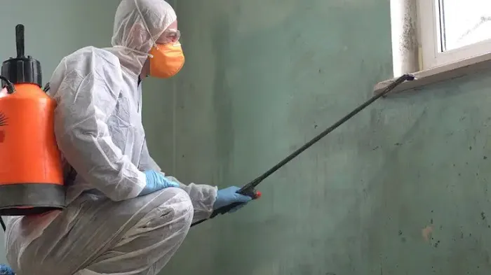 911 Restoration of Northwest Indiana Picture 7