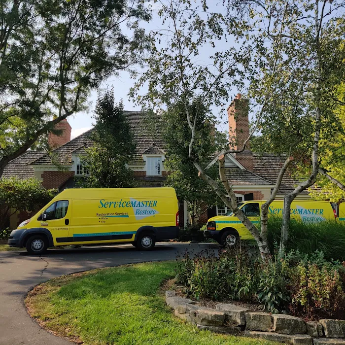 ServiceMaster Clean by DCS - Orland Park Picture 10