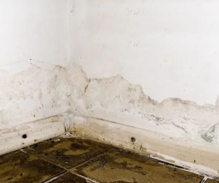 HG Water Damage Restoration