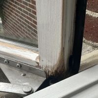 Assure Inspections Inc. ico