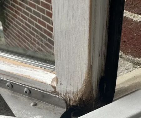 Assure Inspections Inc.