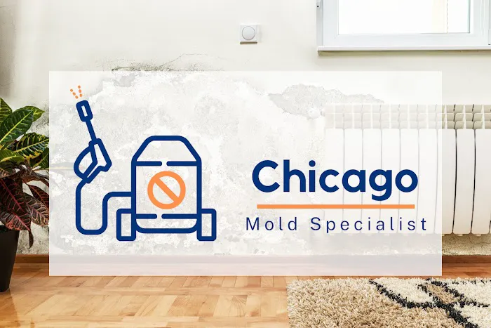 Chicago Mold Specialist Picture 4