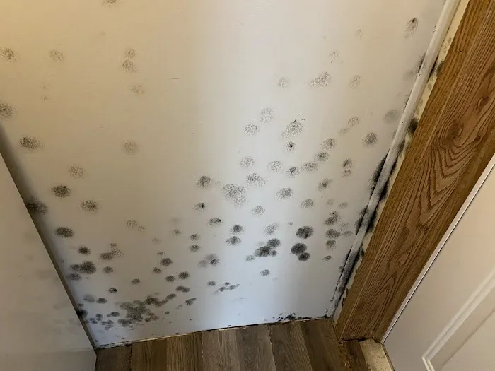 All Dry Services Picture 8