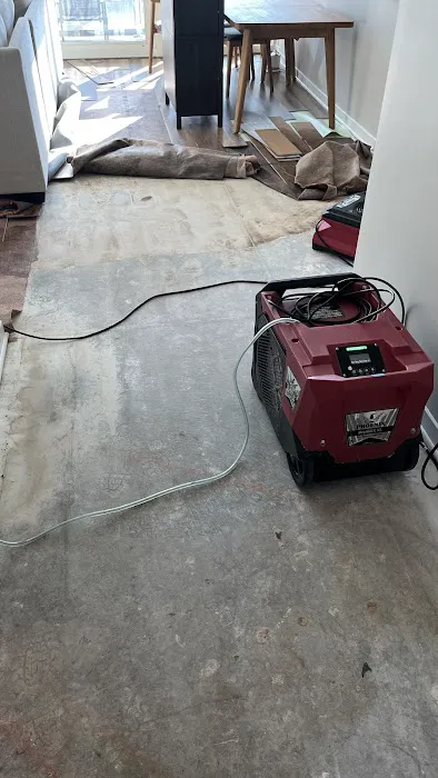 All Dry Services Picture 3