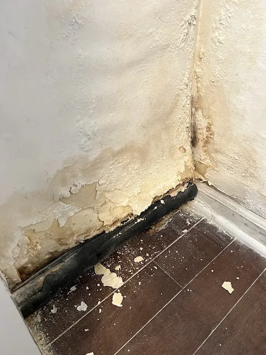 All Dry Services Picture 10