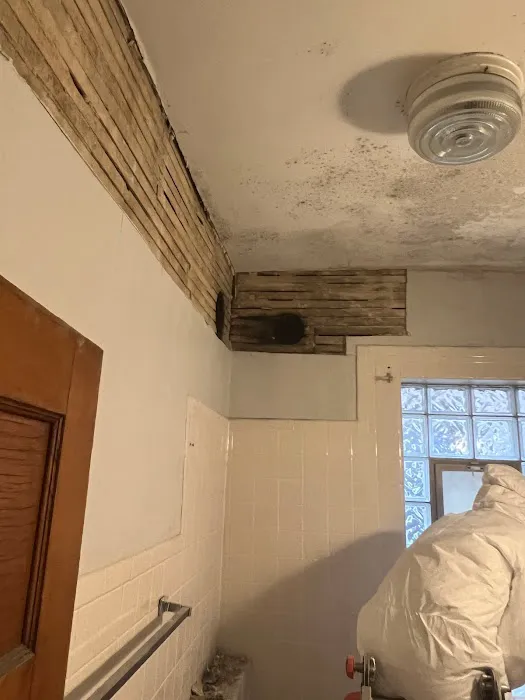 All Dry Services Picture 9