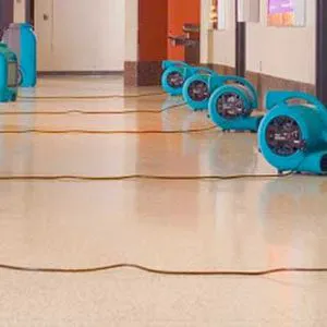 ServiceMaster of Lincoln Park Picture 1