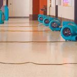 ServiceMaster of Lincoln Park