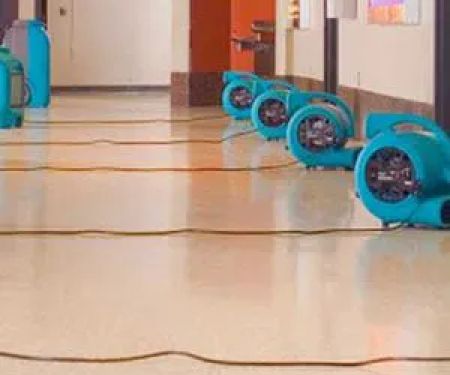 ServiceMaster of Lincoln Park