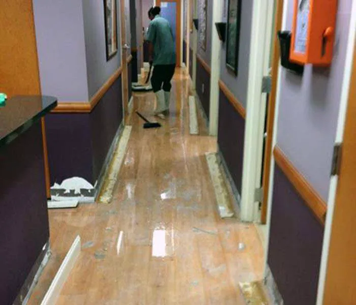 ServiceMaster of Lincoln Park Picture 8