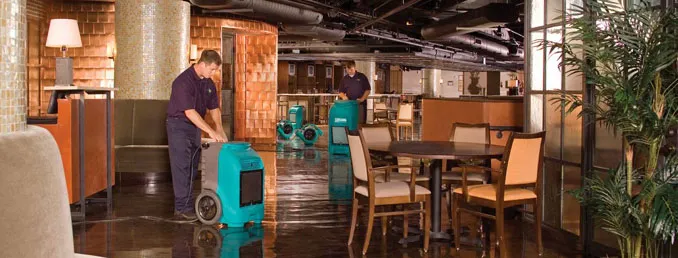 ServiceMaster of Lincoln Park Picture 3