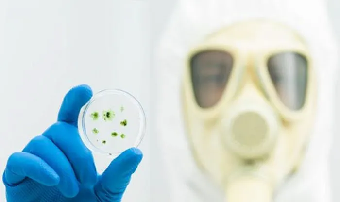 Simply Mold Gone Picture 2