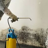 Simply Mold Gone ico