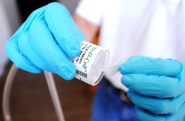 Simply Mold Gone Picture 5