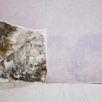 Clear Horizon Mold Removal ico