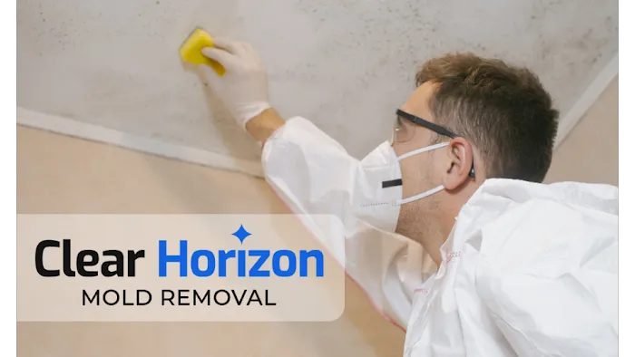 Clear Horizon Mold Removal Picture 5