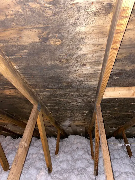 K Cleanup & Restoration Picture 5