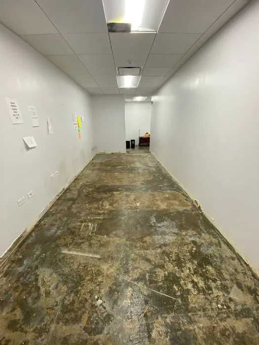 K Cleanup & Restoration Picture 1