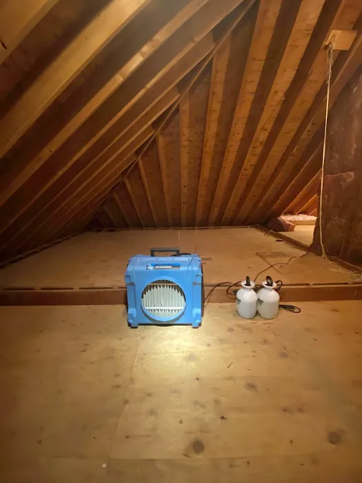 K Cleanup & Restoration Picture 2