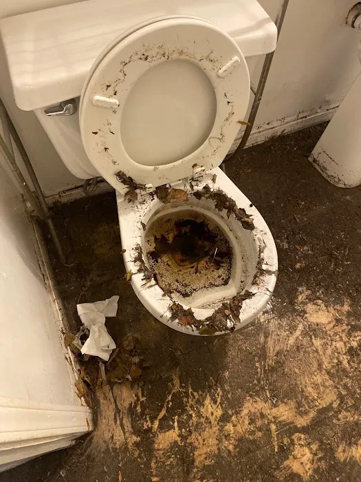 Chicagoland Water Medics Picture 7