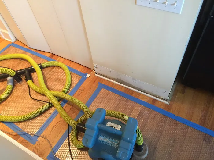 ServiceMaster Fire & Water Damage Cleanup Picture 2