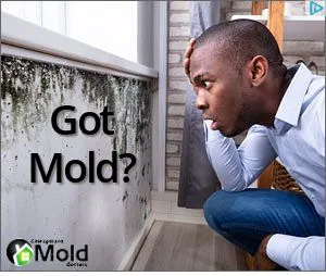 Chicagoland Picture 1