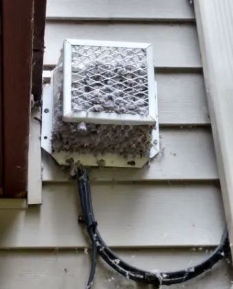 A Roto Restoration & Budget King Carpet Cleaning Picture 6