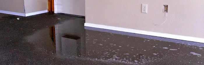 A Roto Restoration & Budget King Carpet Cleaning Picture 5