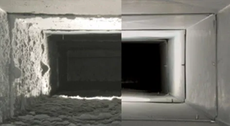 A Roto Restoration & Budget King Carpet Cleaning Picture 4