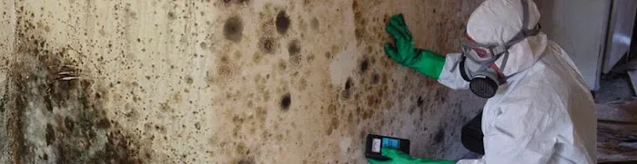 A Roto Restoration & Budget King Carpet Cleaning Picture 2