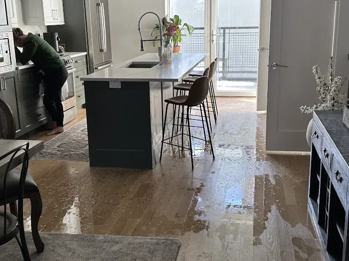 2nd Chance Water Restoration Picture 2