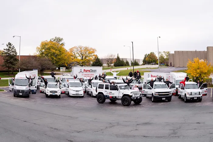 PuroClean of Elk Grove Village/Schaumburg Picture 4