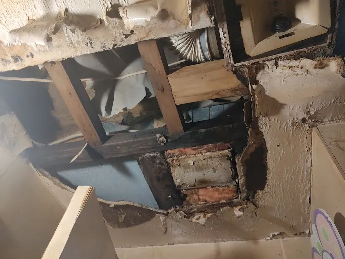 Green Home Solutions of Chicago West Suburbs/Dupage (IL) Picture 8