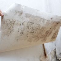 LC Water Damage Restoration ico