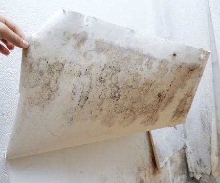 LC Water Damage Restoration