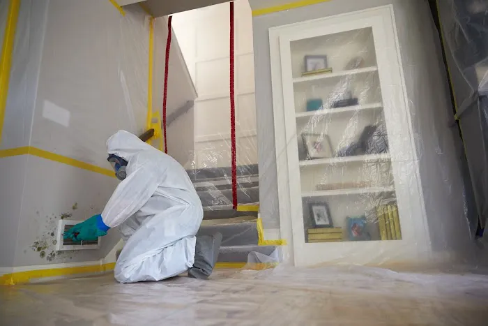 ServiceMaster Mold Remediation Company Picture 10