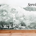 ServiceMaster Mold Remediation Company