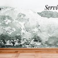 ServiceMaster Mold Remediation Company ico