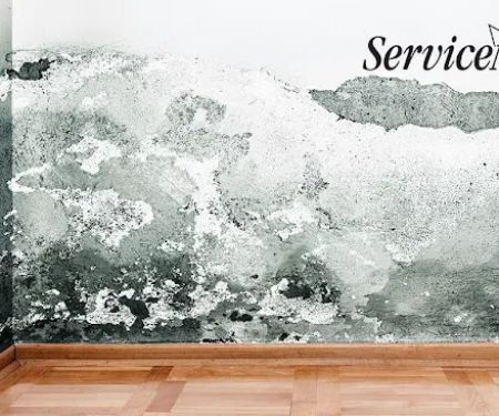 ServiceMaster Mold Remediation Company