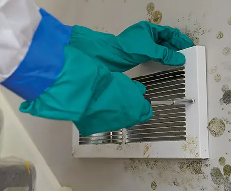 ServiceMaster Mold Remediation Company Picture 2