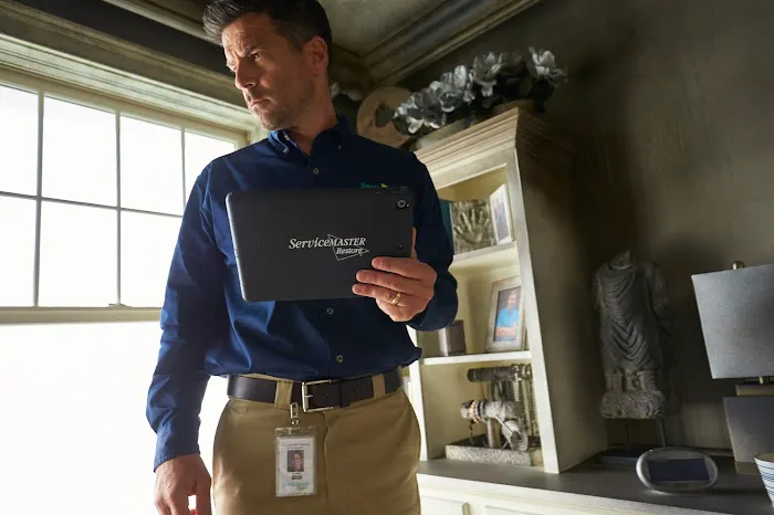 ServiceMaster Mold Remediation Company Picture 9