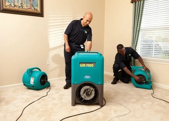 ServiceMaster Mold Remediation Company Picture 4