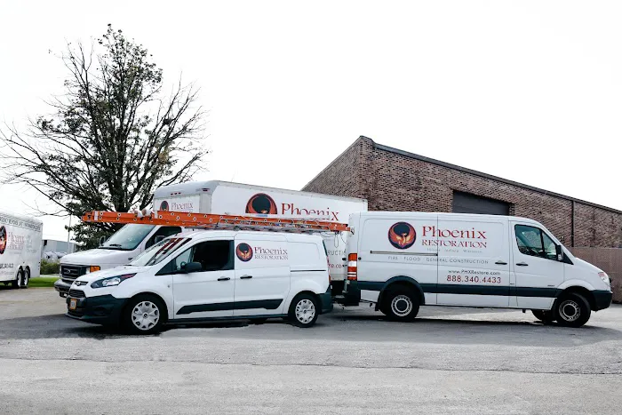 Phoenix, Inc Picture 1