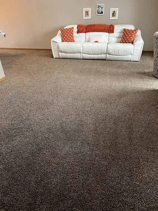 Stanley Steemer Picture 8