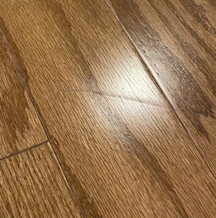 Stanley Steemer Picture 10