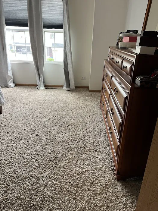 Stanley Steemer Picture 9