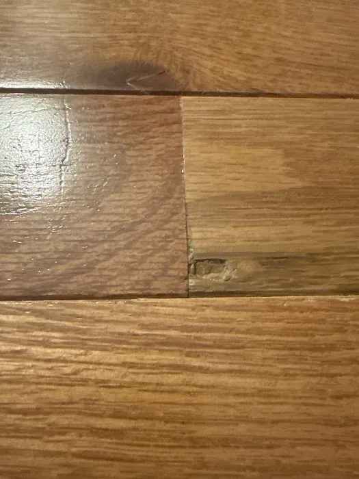 Paul Davis Restoration of DuPage Picture 10